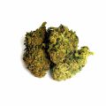 Бошки (Шишки)  Амнезия (Weed Amnesia)  в Москве ТГК 23%